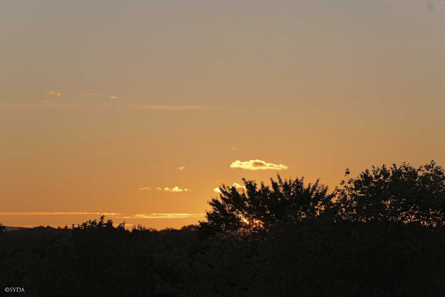 Nature Image