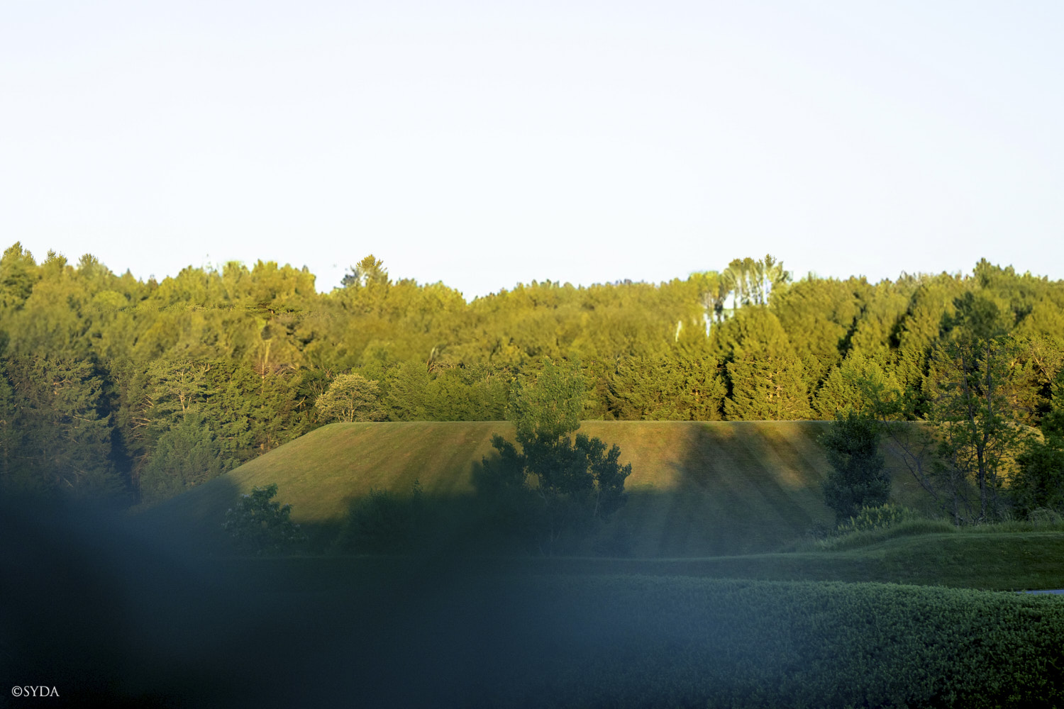 Nature Image