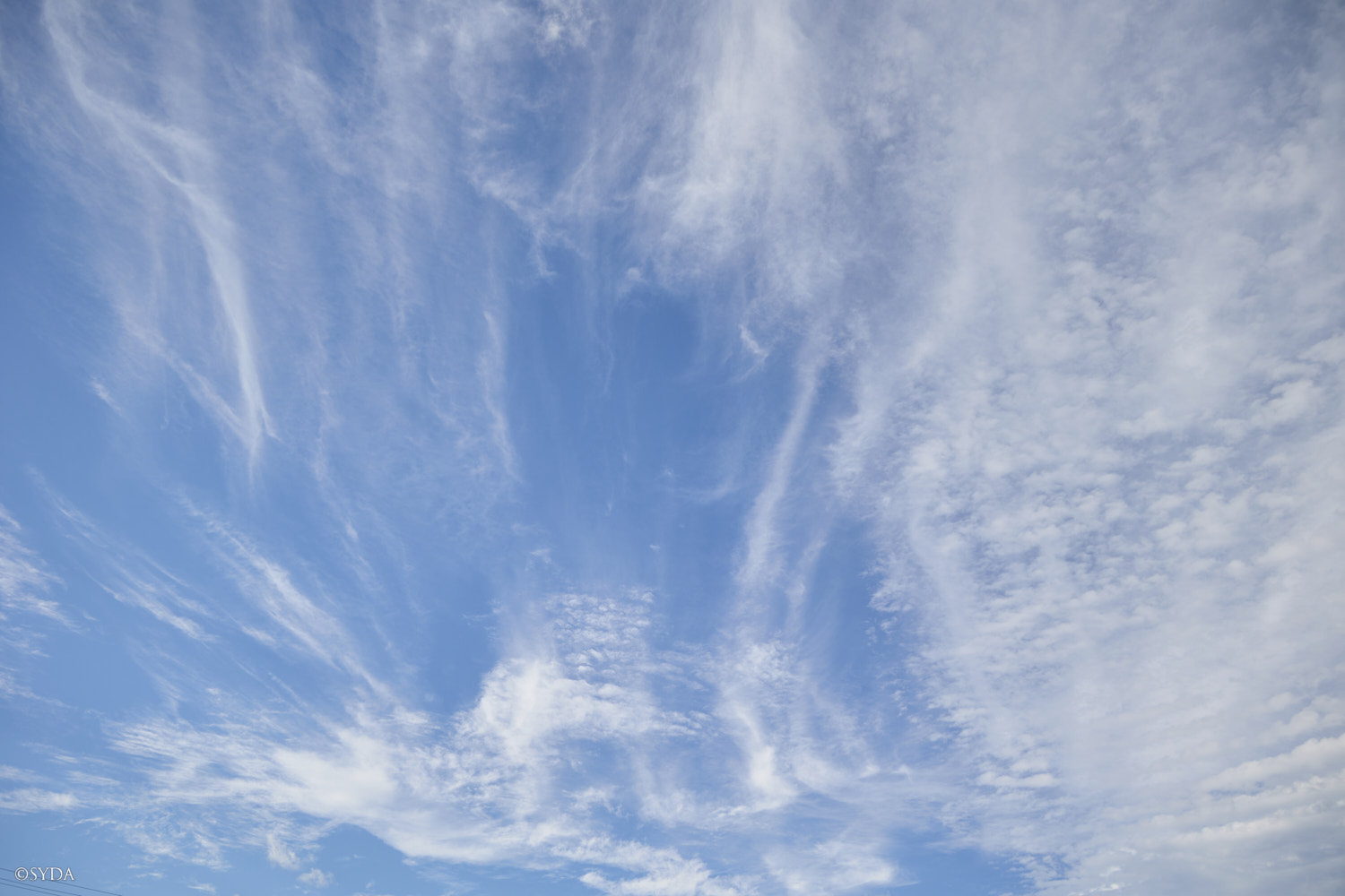 Nature Image