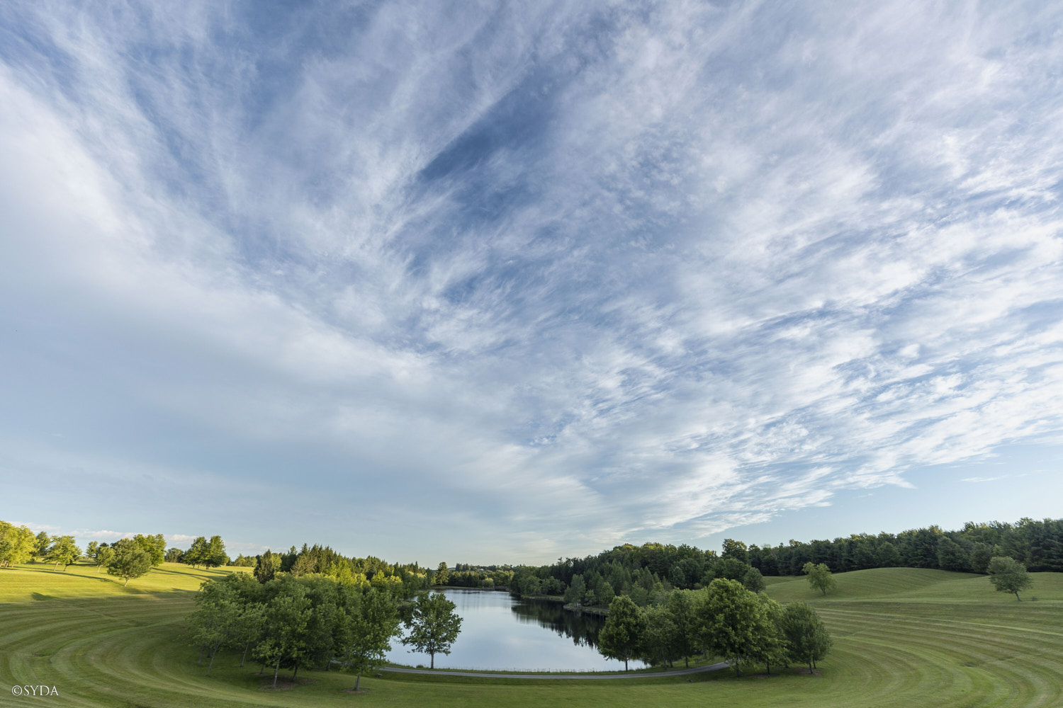 Nature Image