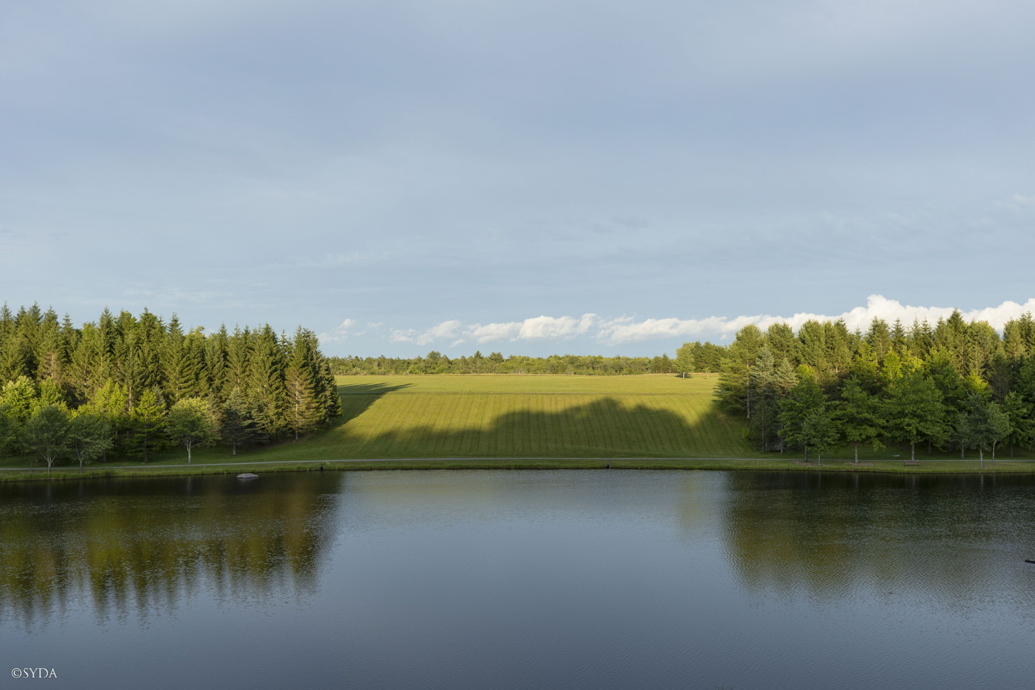 Nature Image