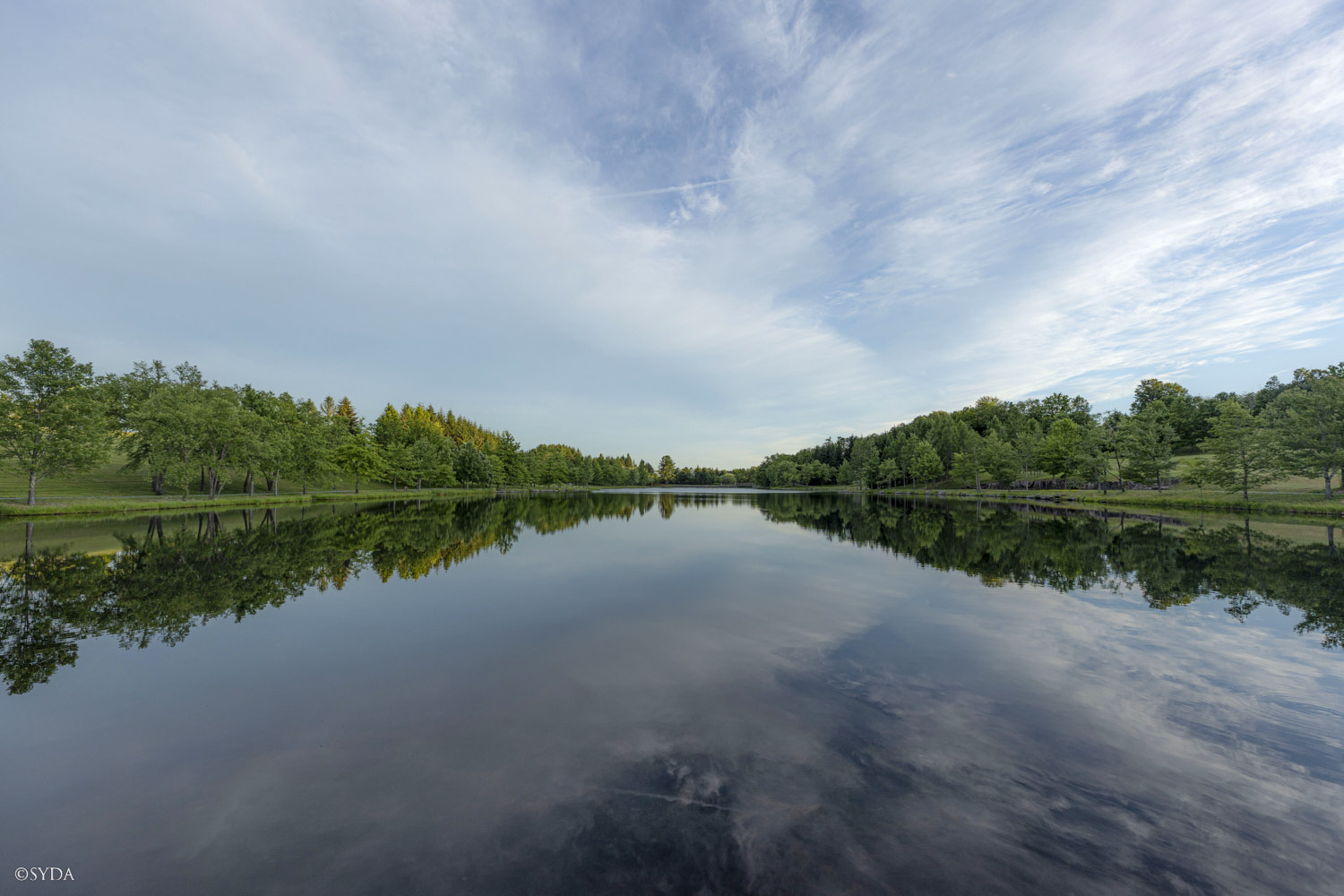 Nature Image