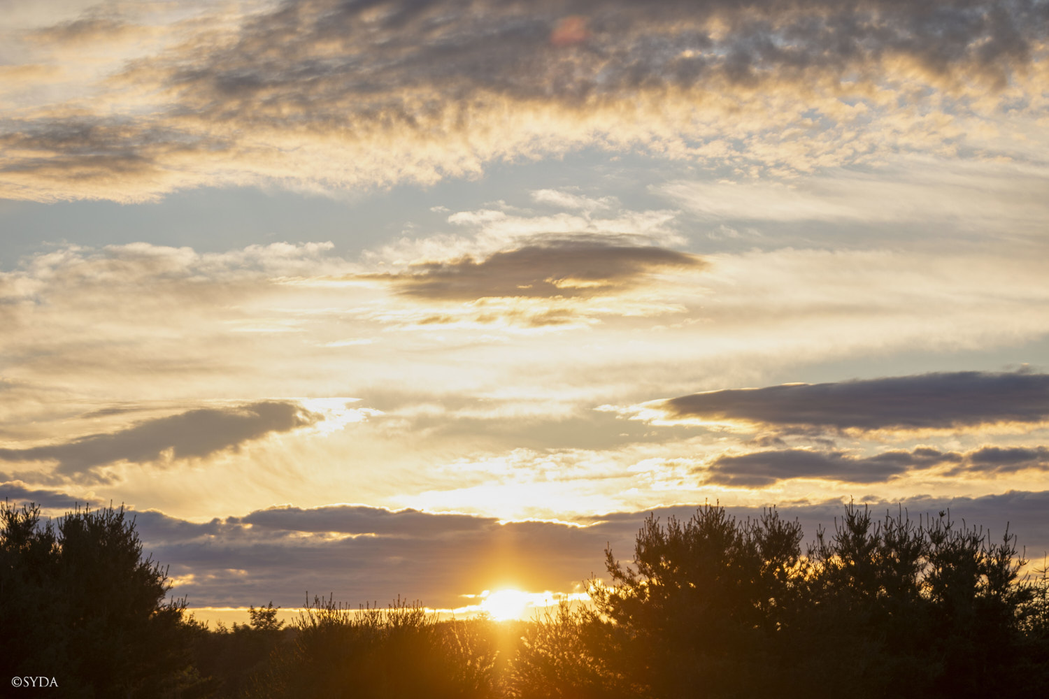 Nature Image