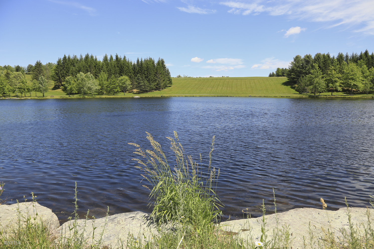 Nature Image