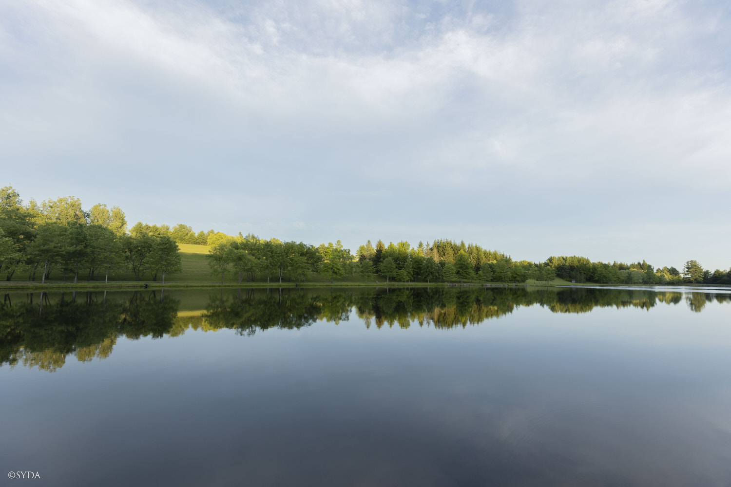 Nature Image