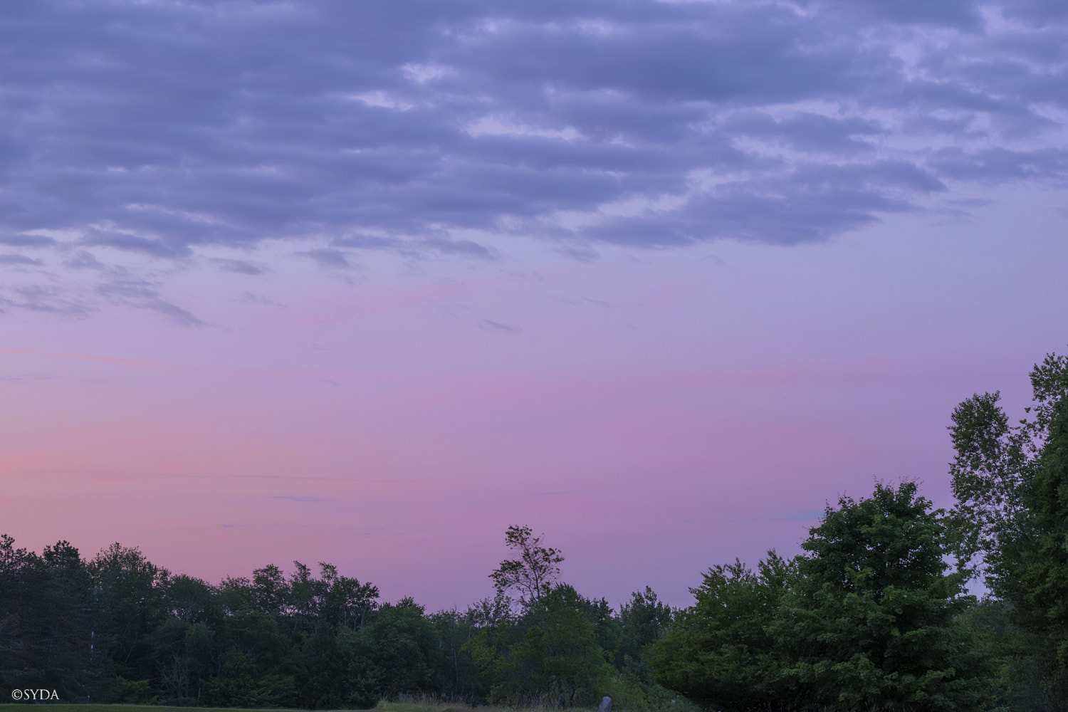 Nature Image