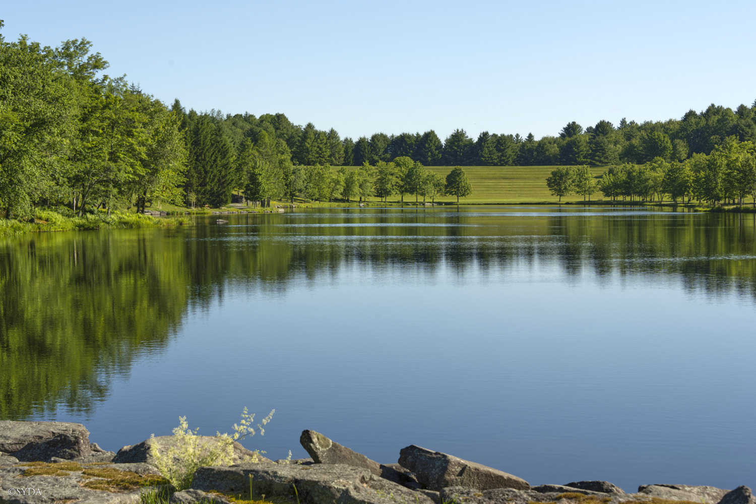 Nature Image