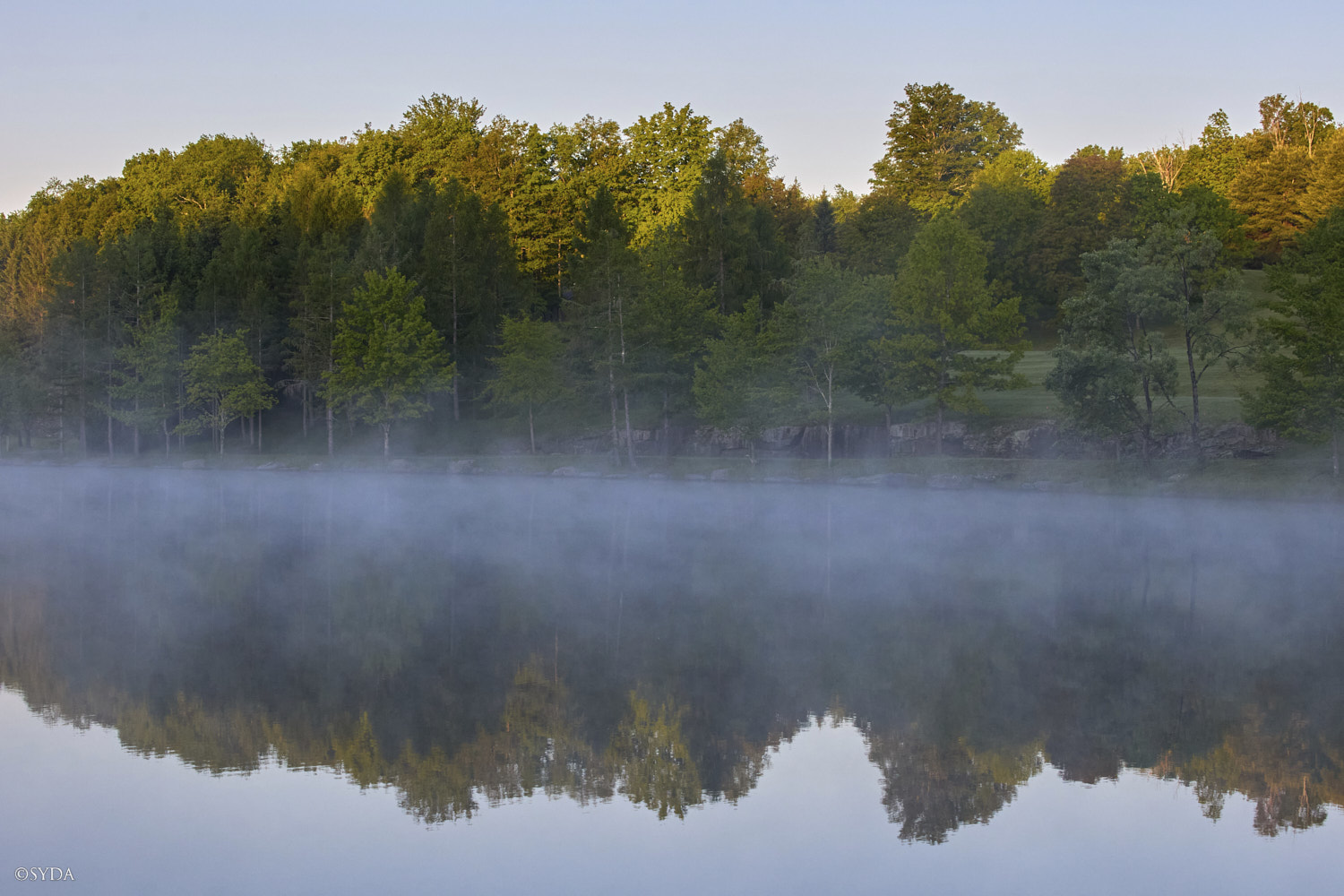 Nature Image