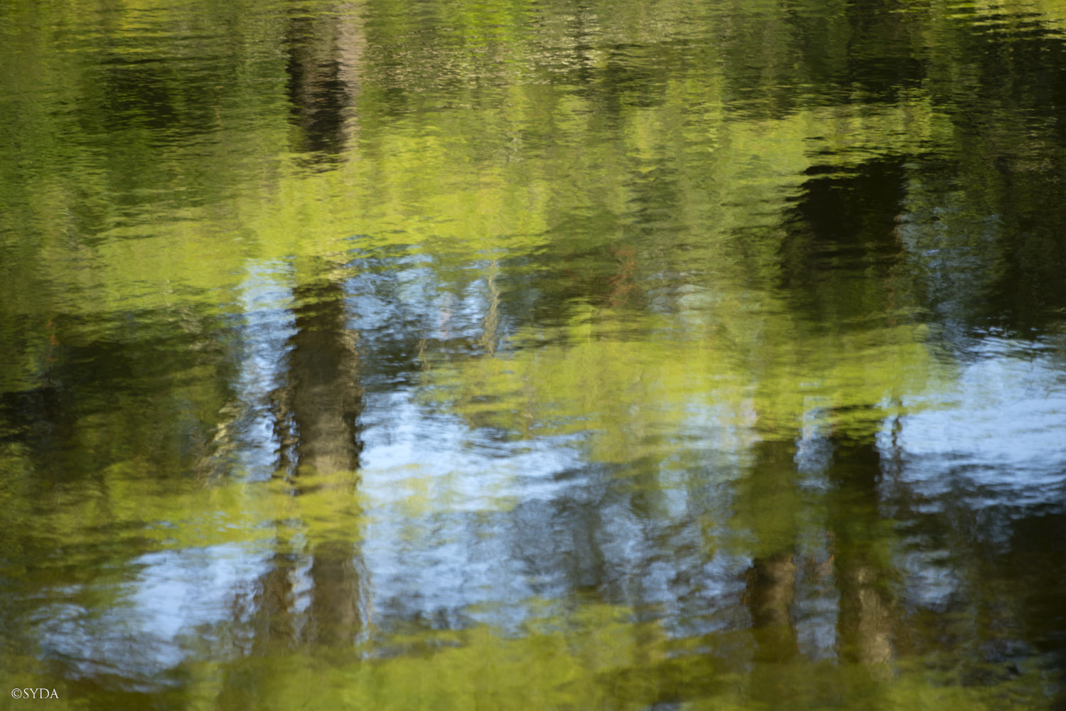 Nature Image