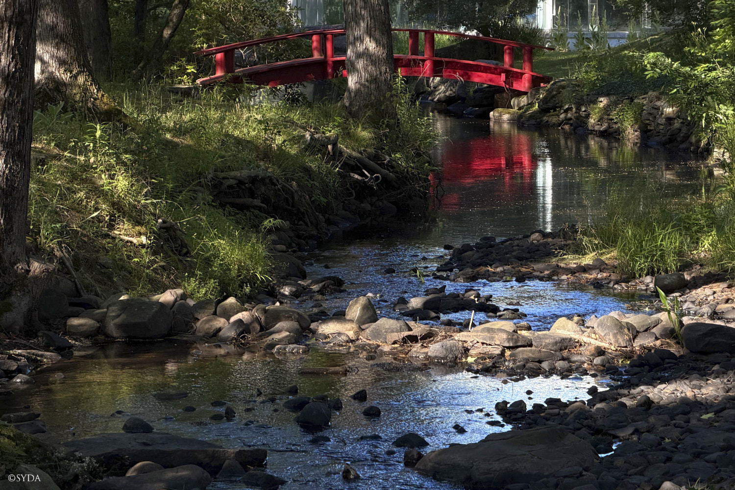 Nature Image