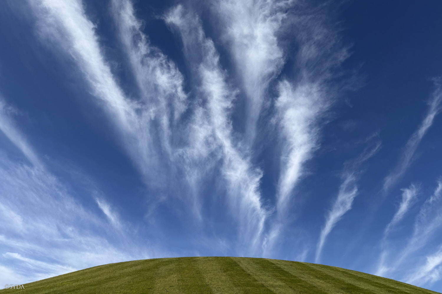Nature Image