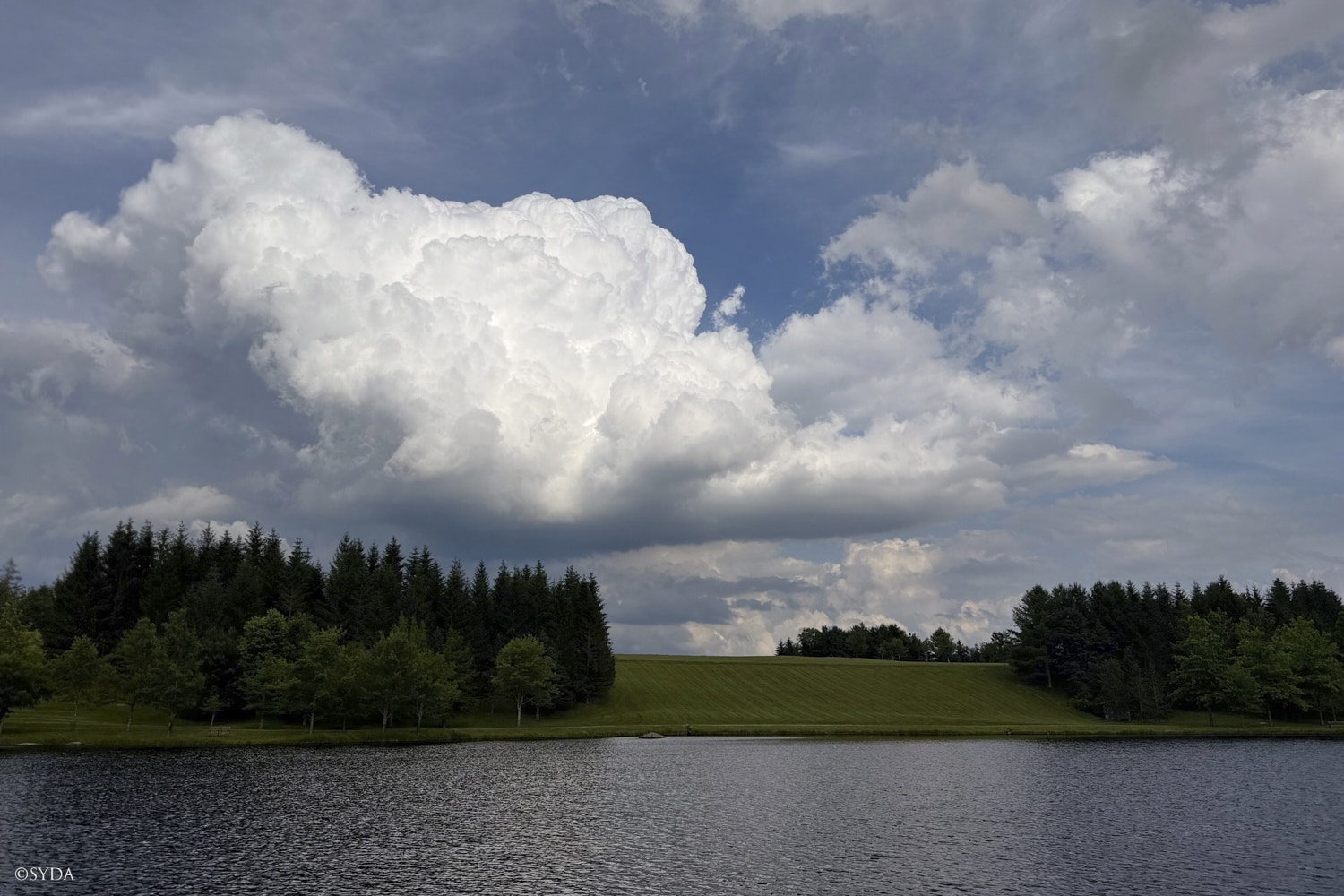 Nature Image