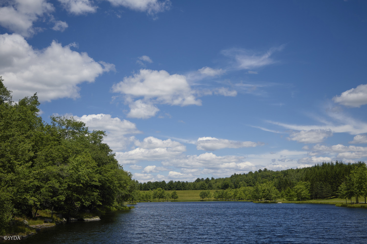 Nature Image