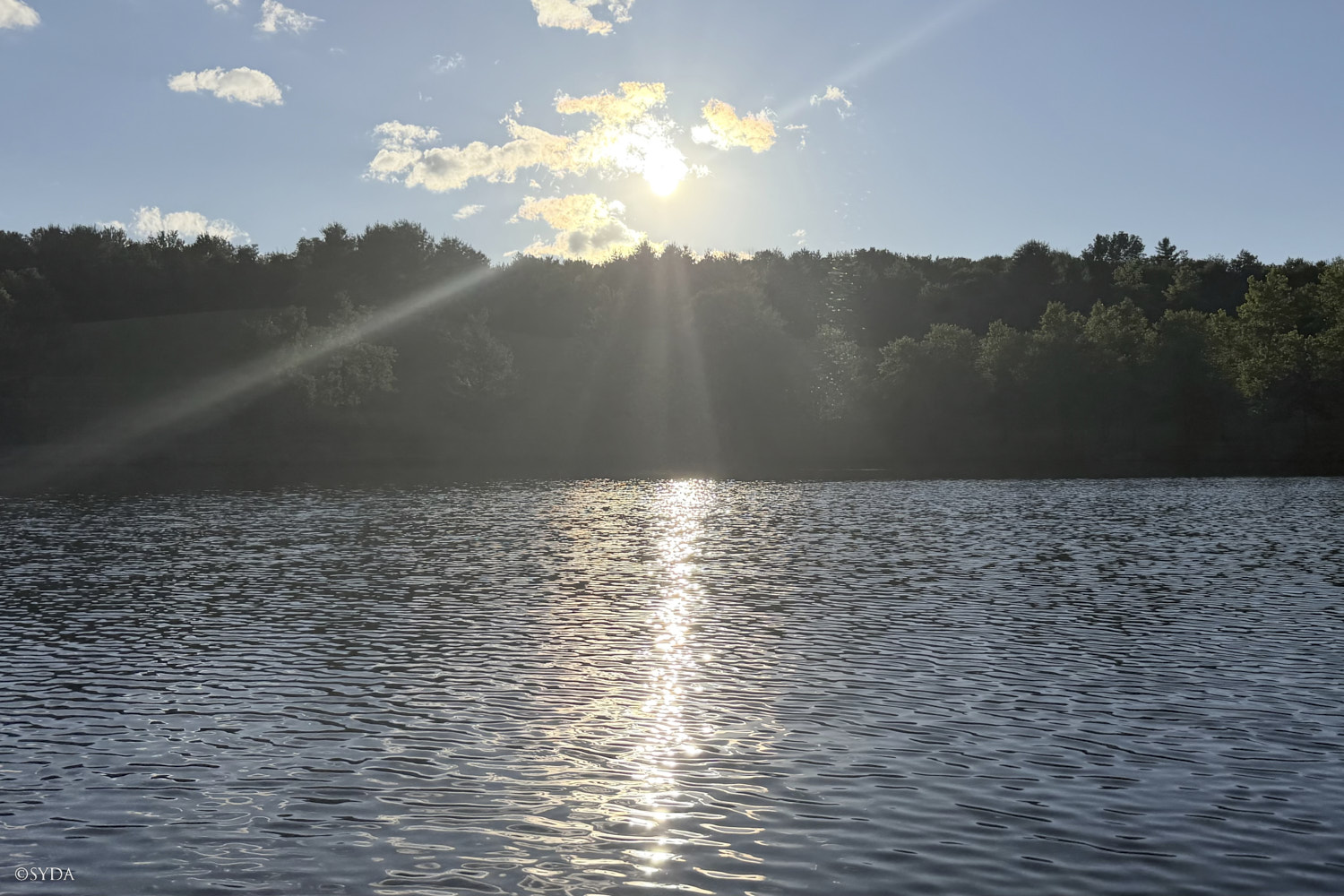 Nature Image