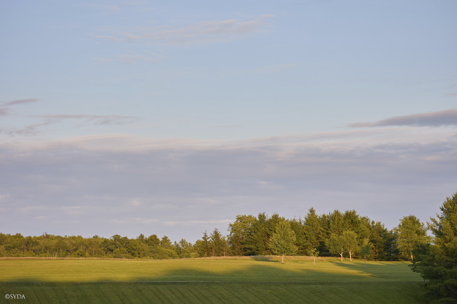 Nature Image