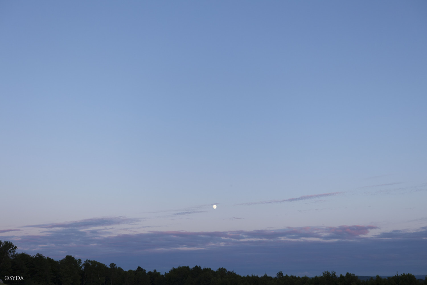 Nature Image
