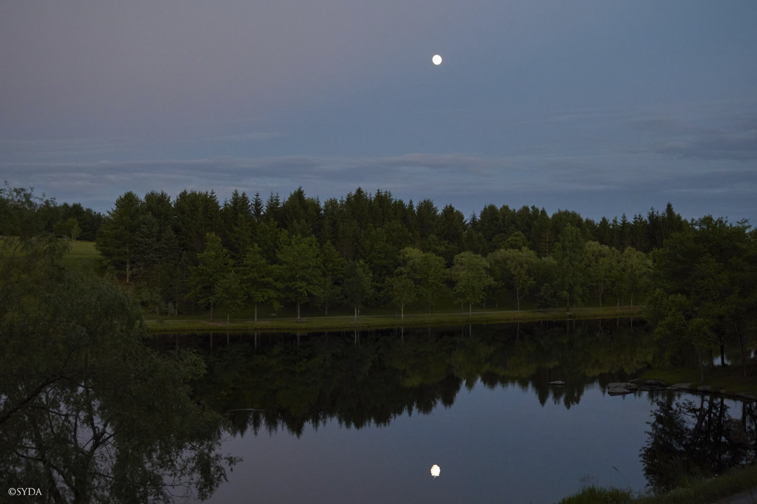 Nature Image