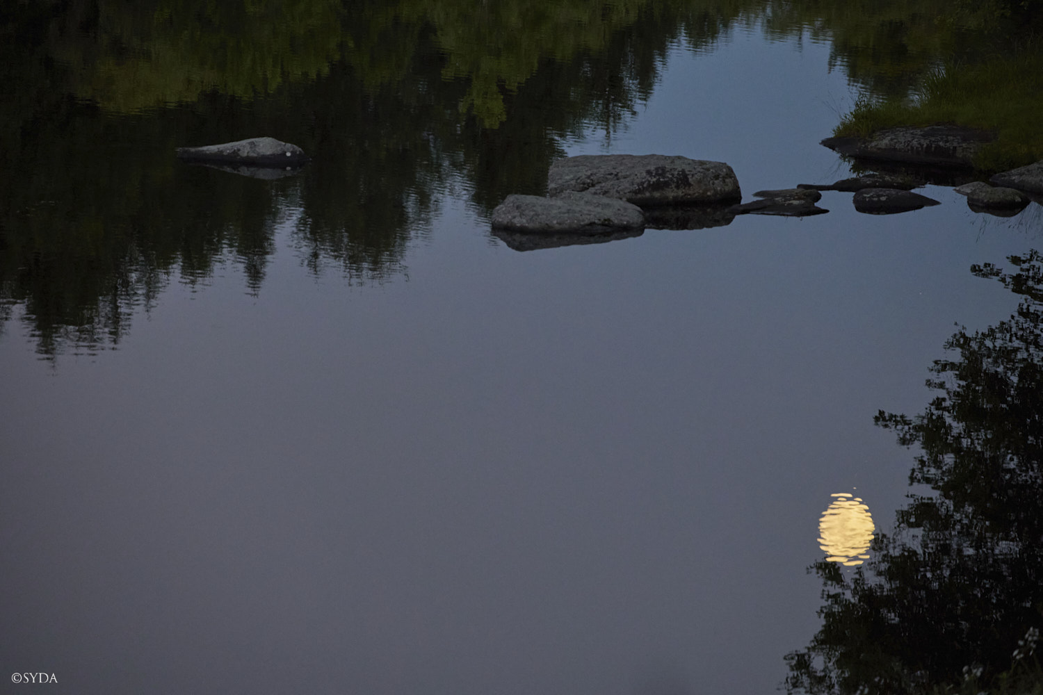Nature Image
