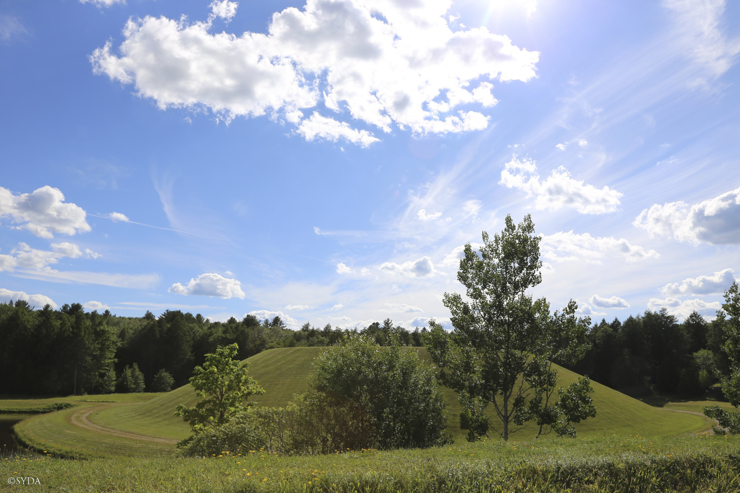 Nature Image