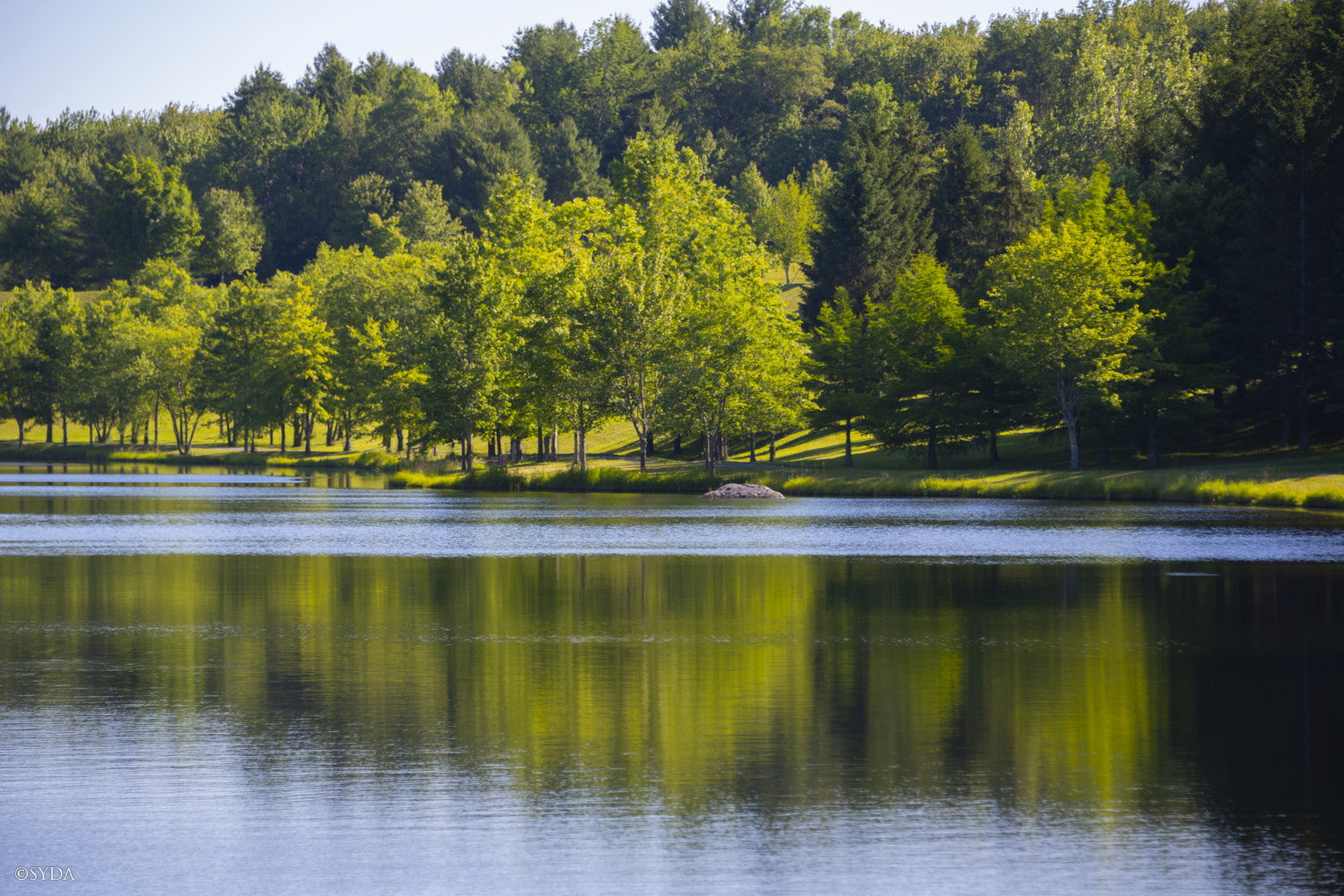 Nature Image