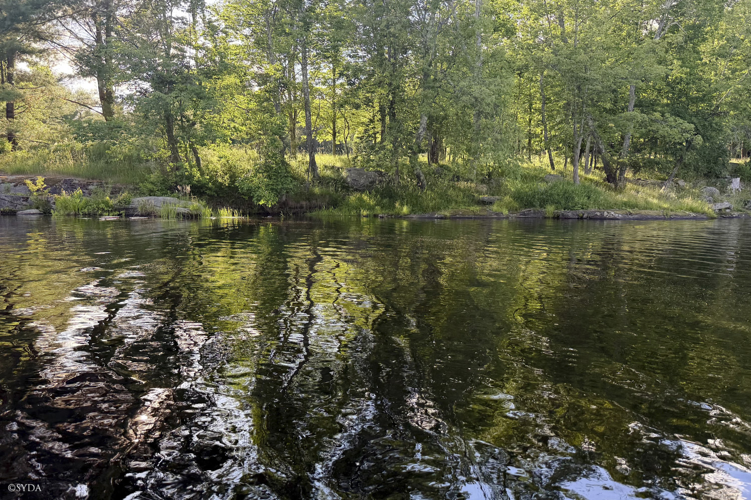 Nature Image