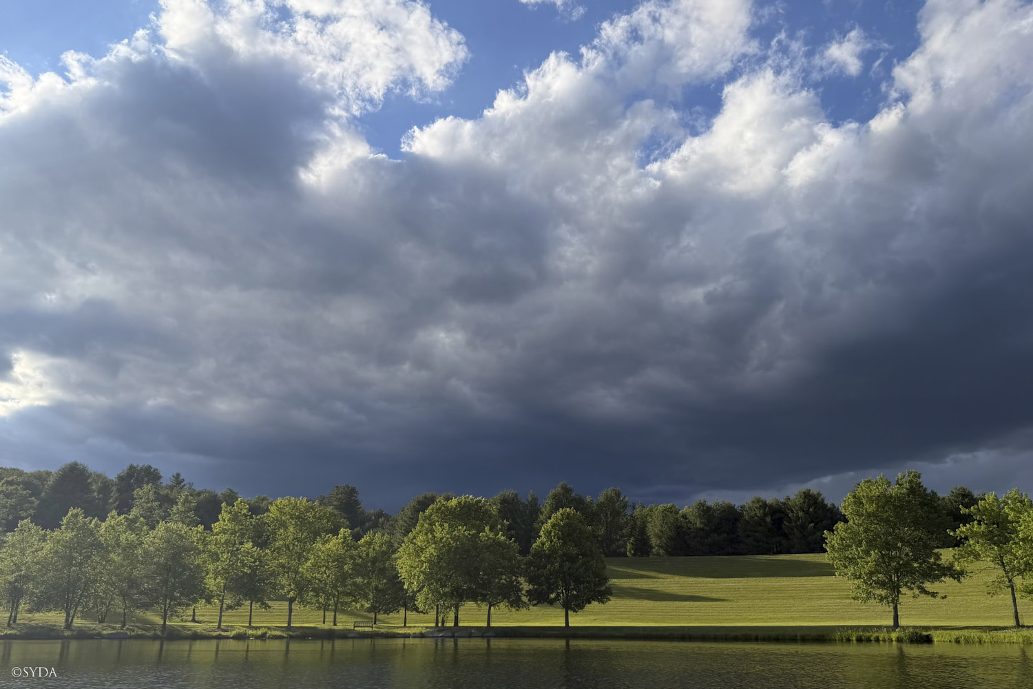 Nature Image