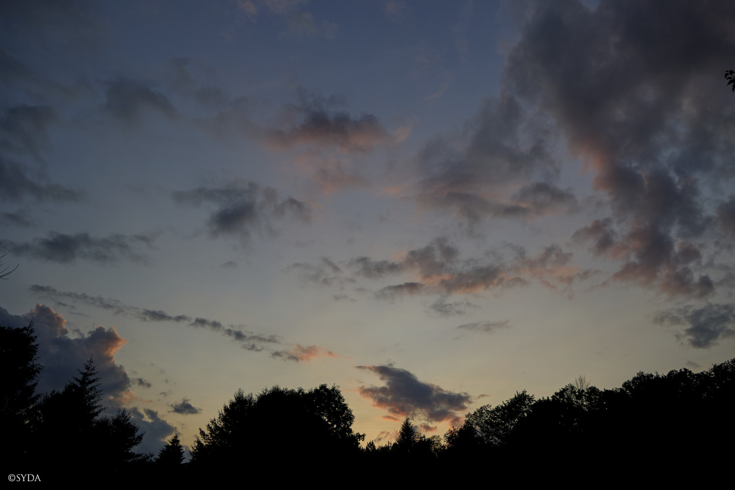 Nature Image