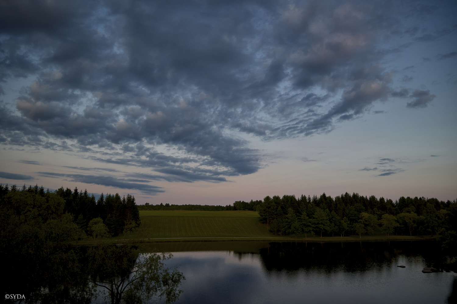 Nature Image