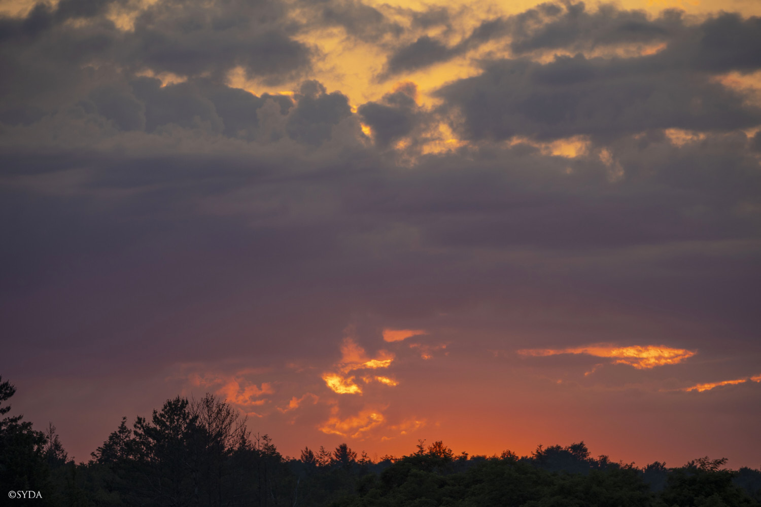 Nature Image