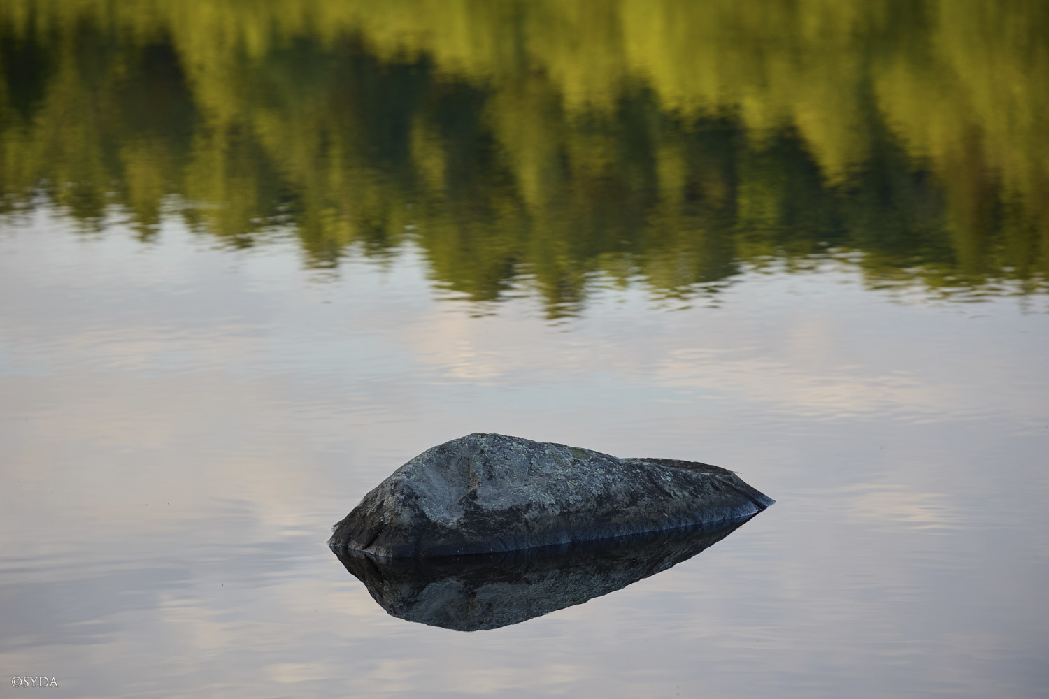 Nature Image
