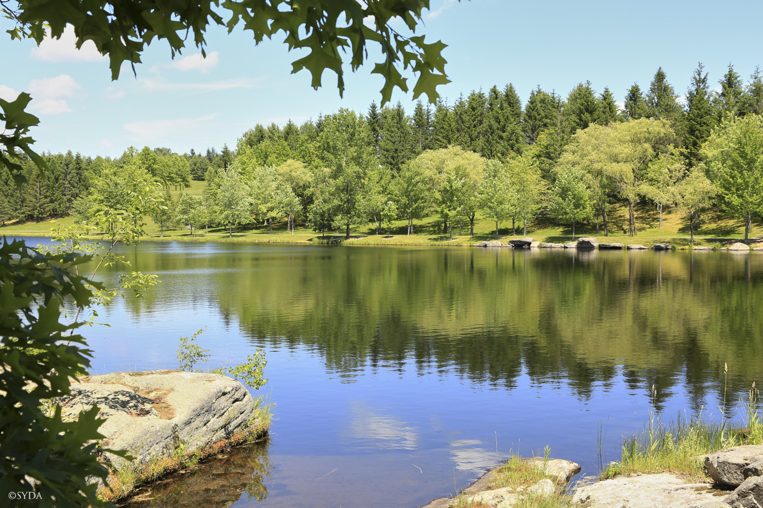 Nature Image