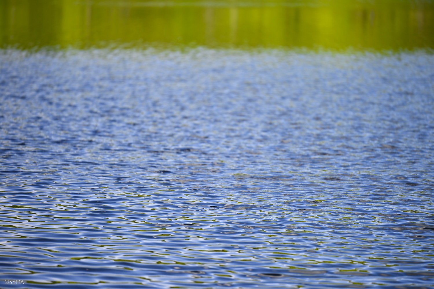 Nature Image