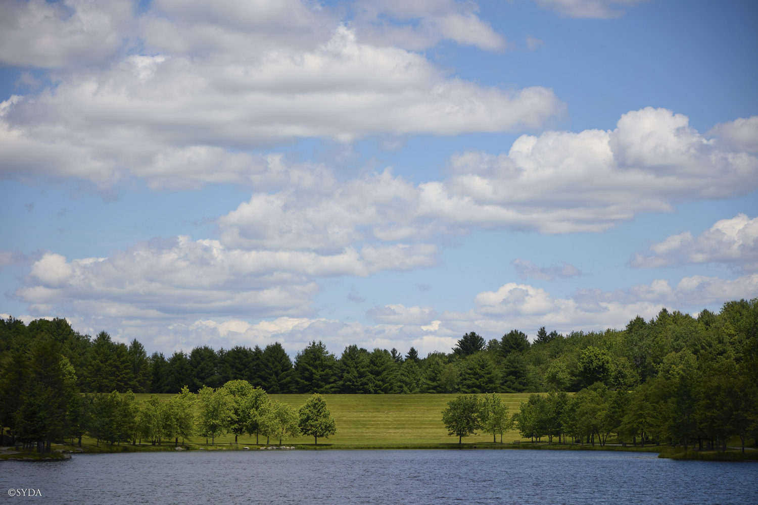 Nature Image