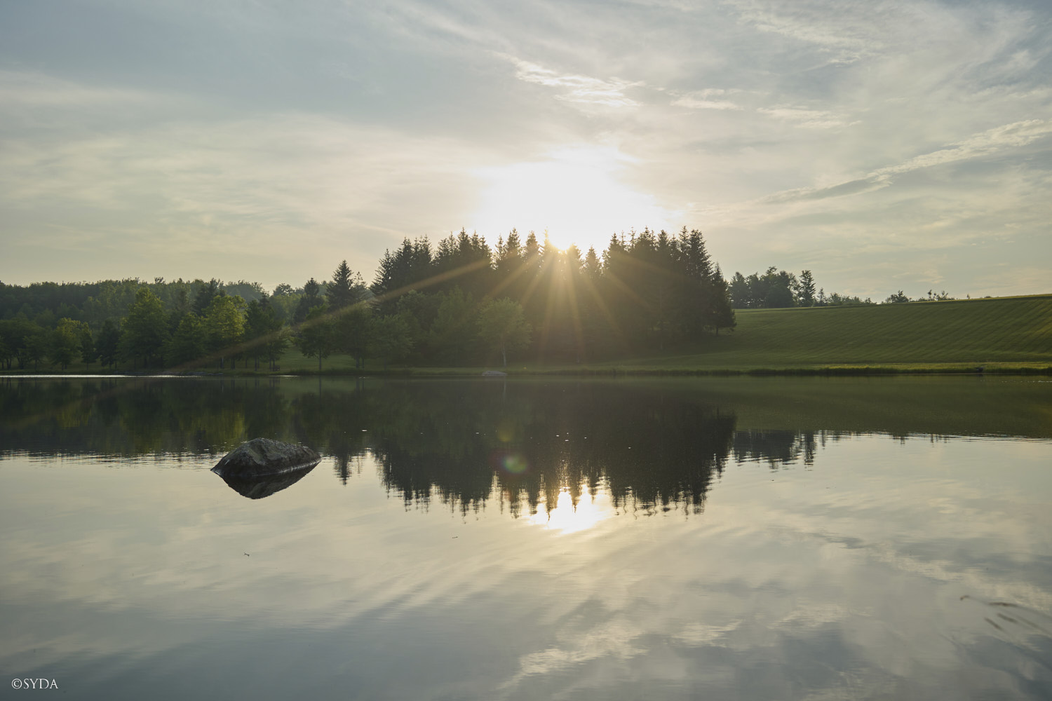 Nature Image