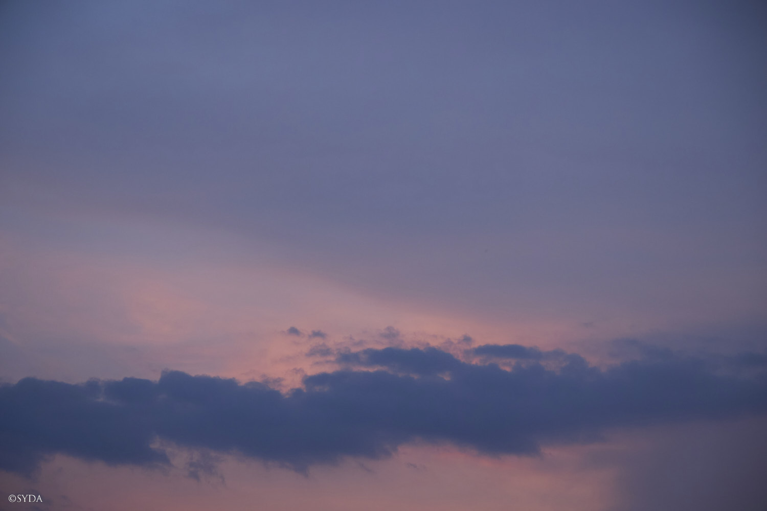 Nature Image