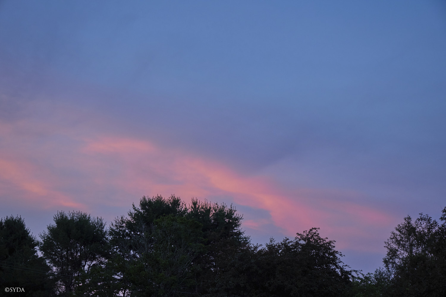 Nature Image
