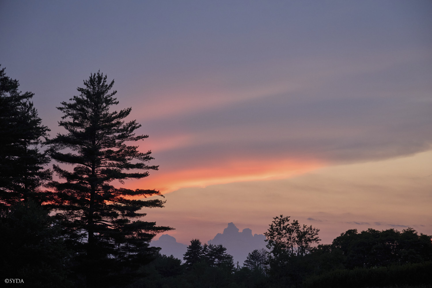 Nature Image