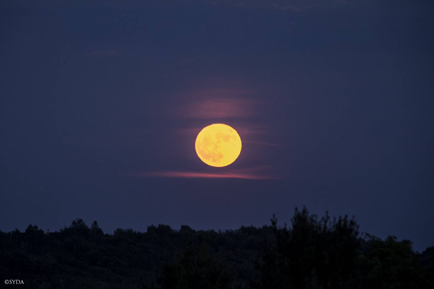 Nature Image