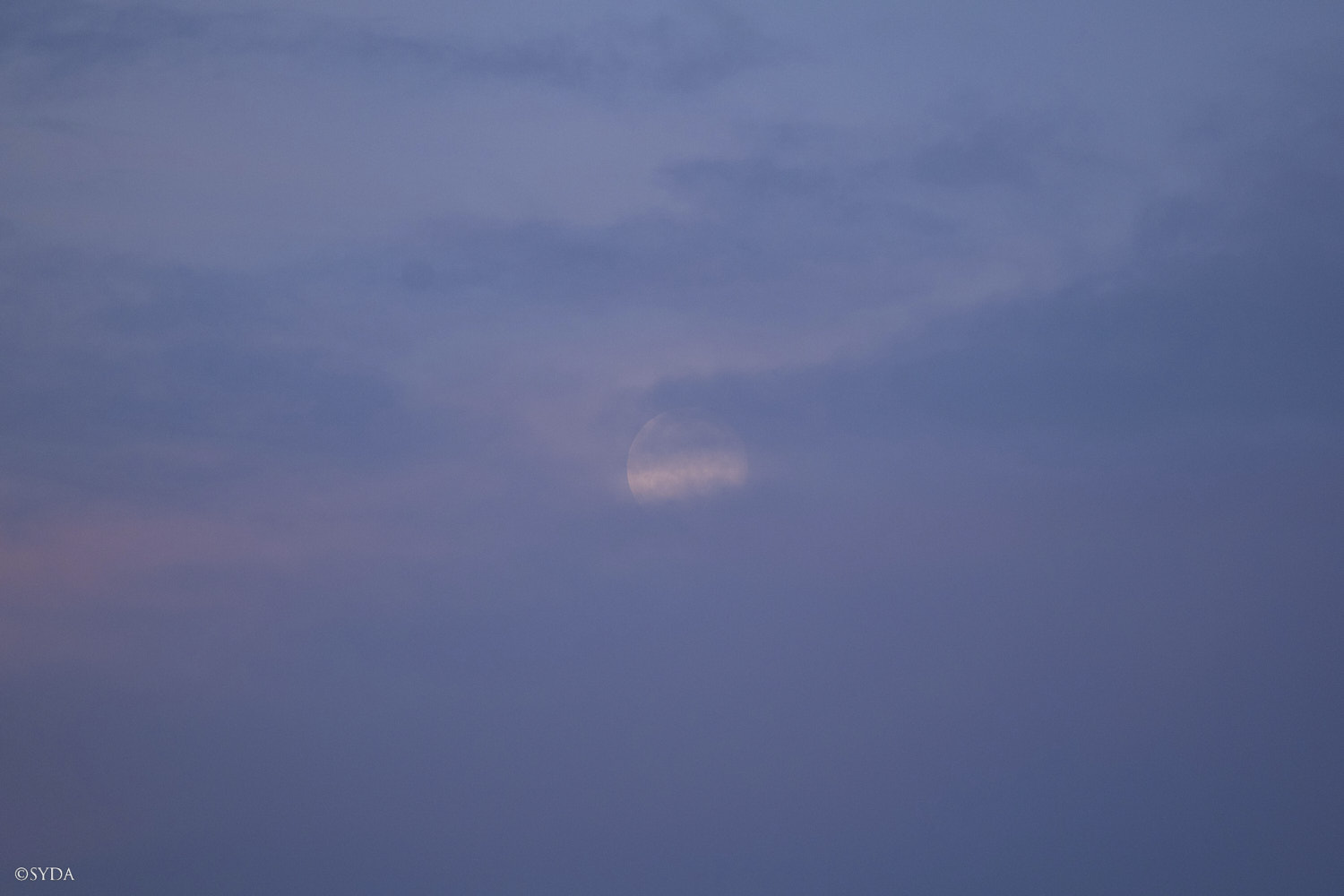 Nature Image
