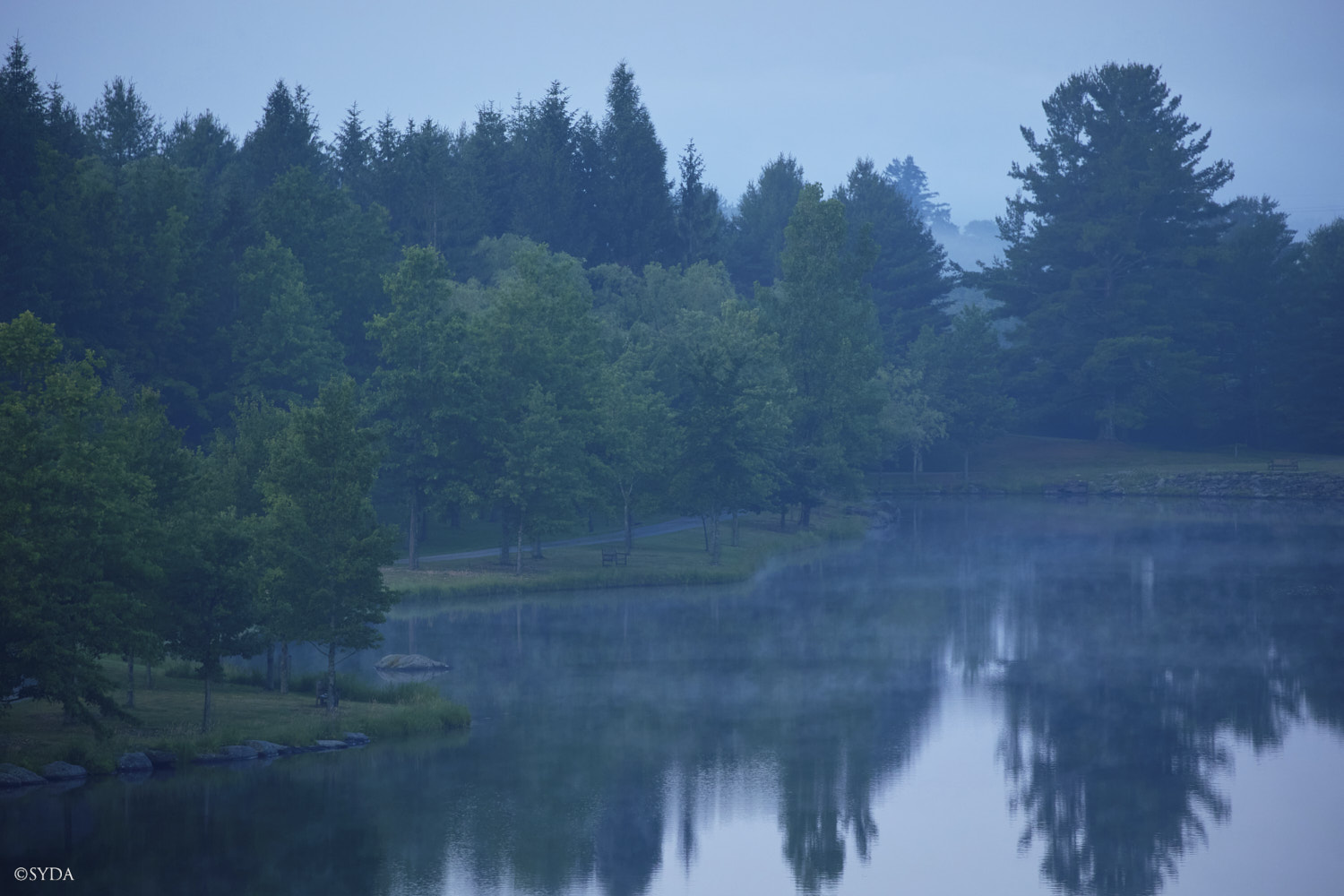 Nature Image