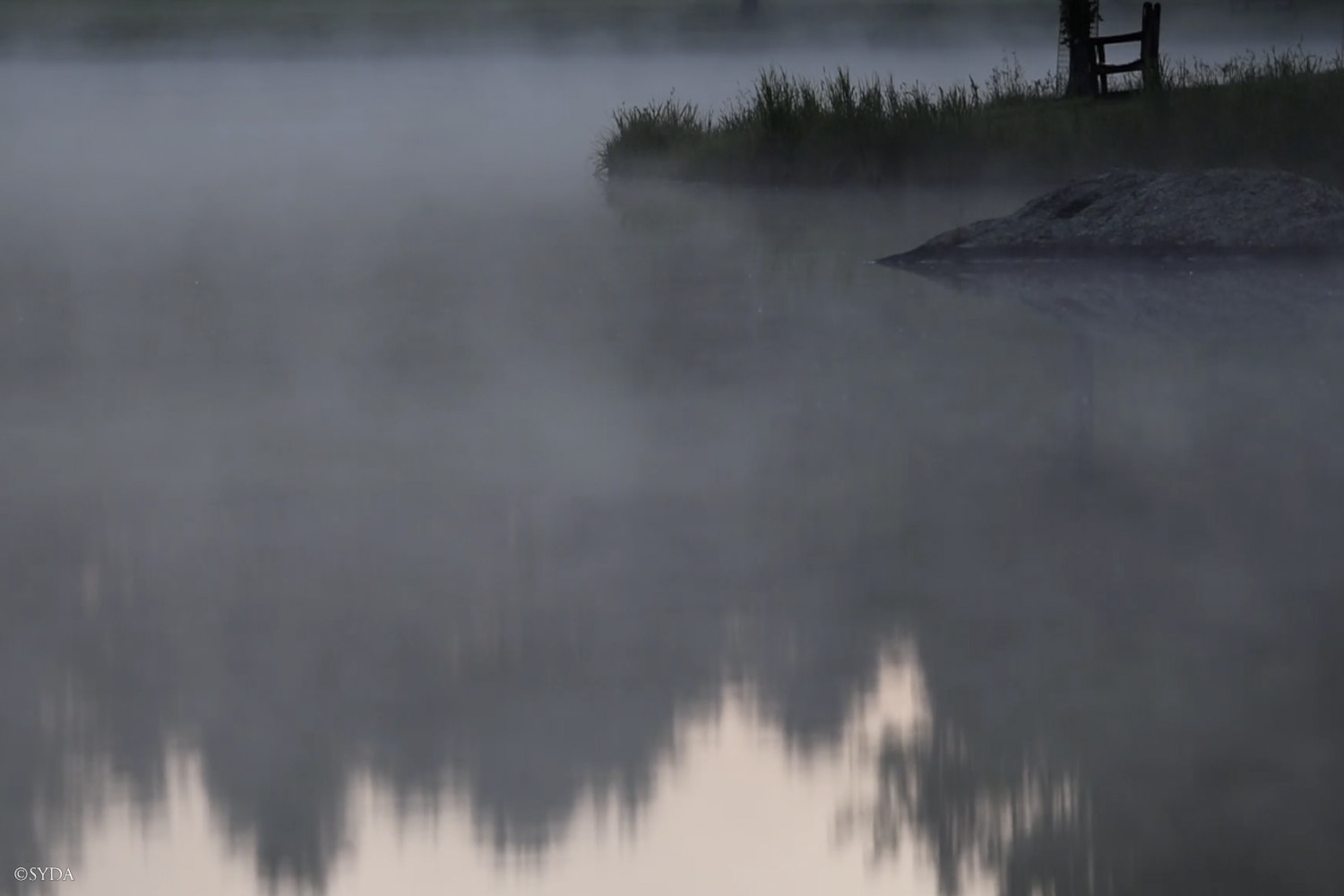 Nature Image
