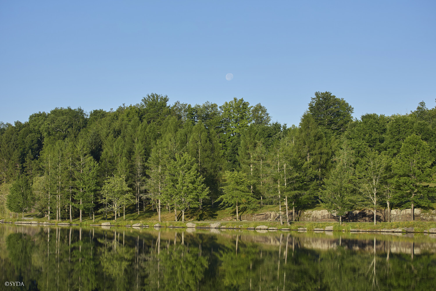 Nature Image