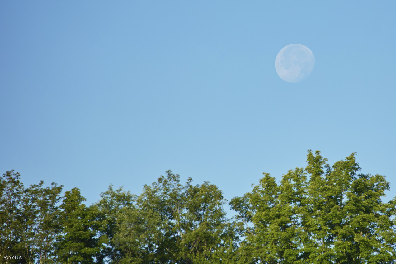 Nature Image