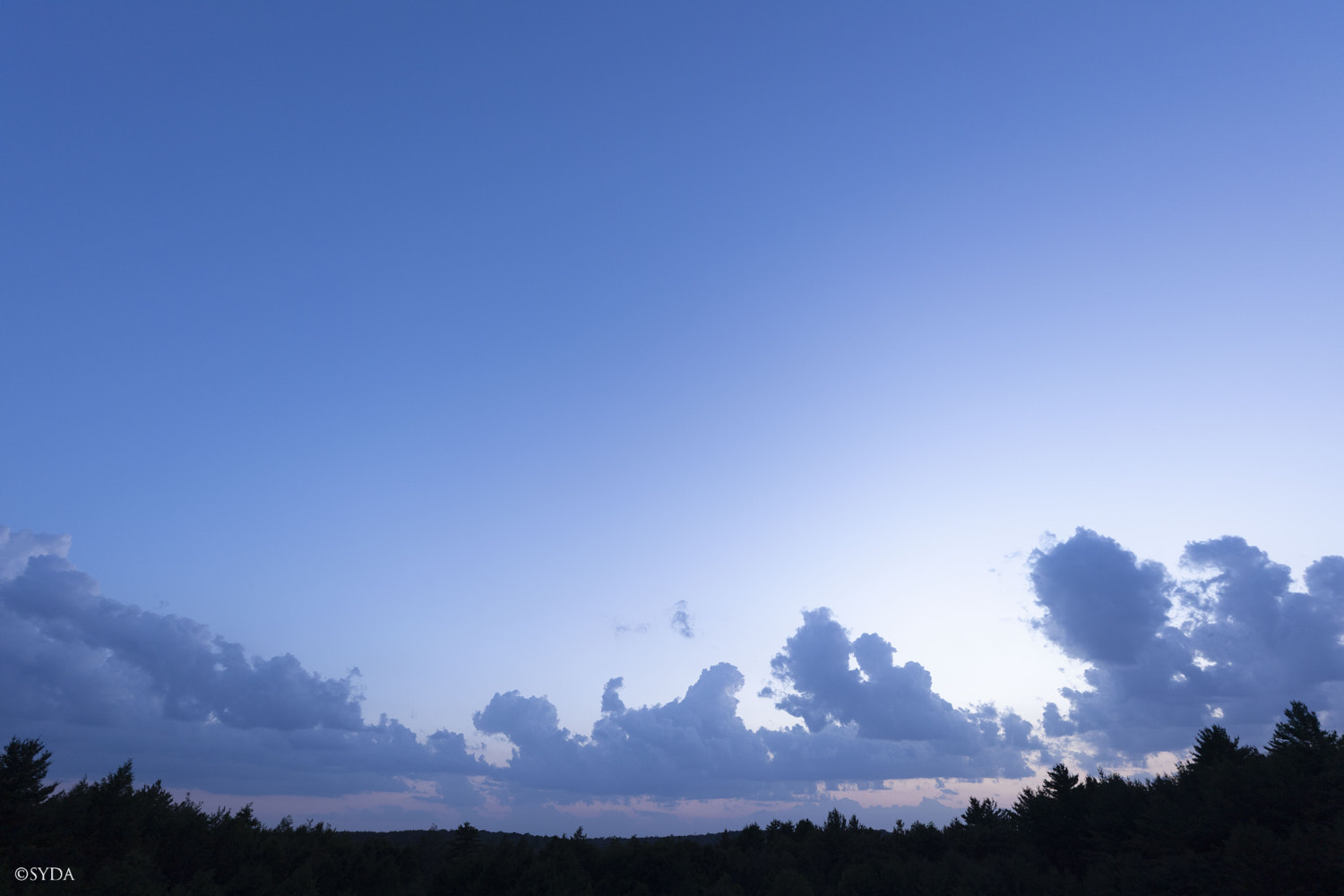 Nature Image