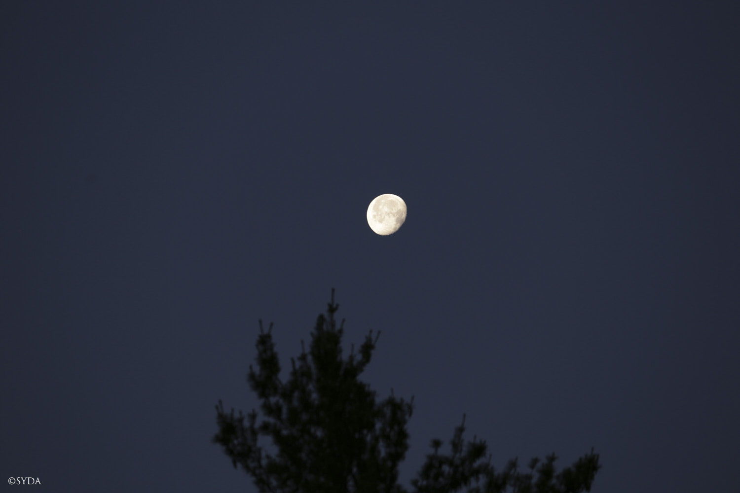 Nature Image