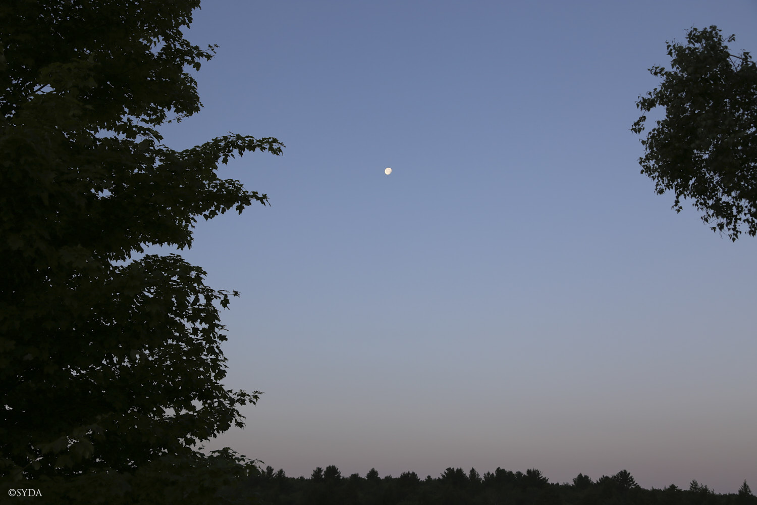 Nature Image