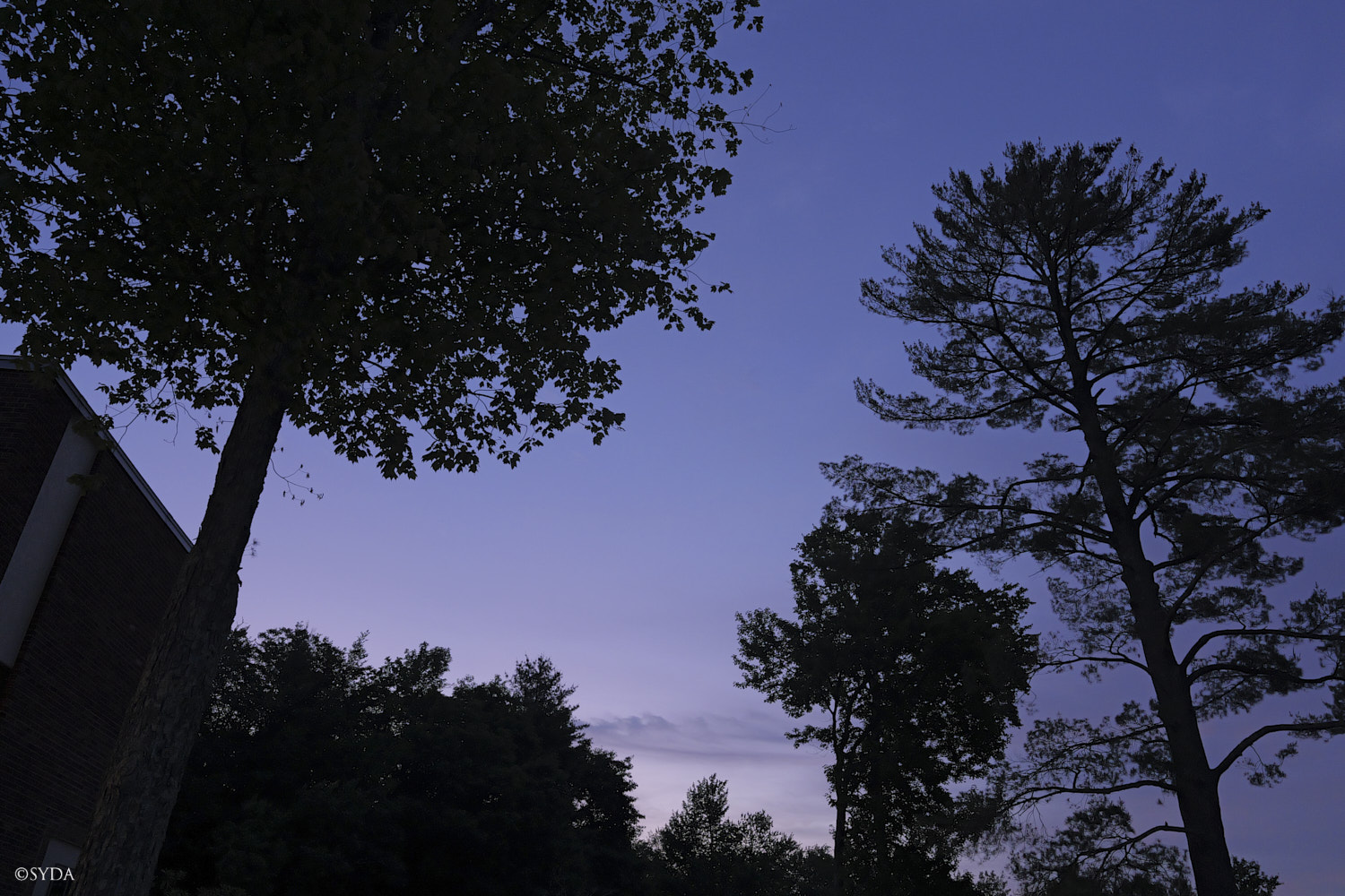 Nature Image