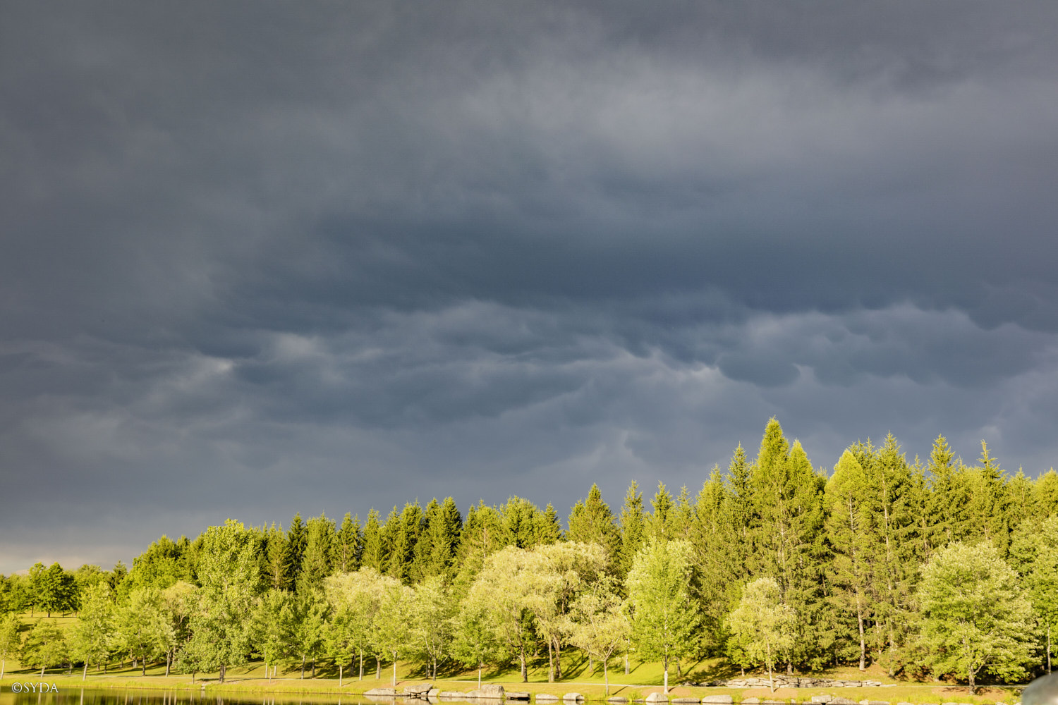 Nature Image