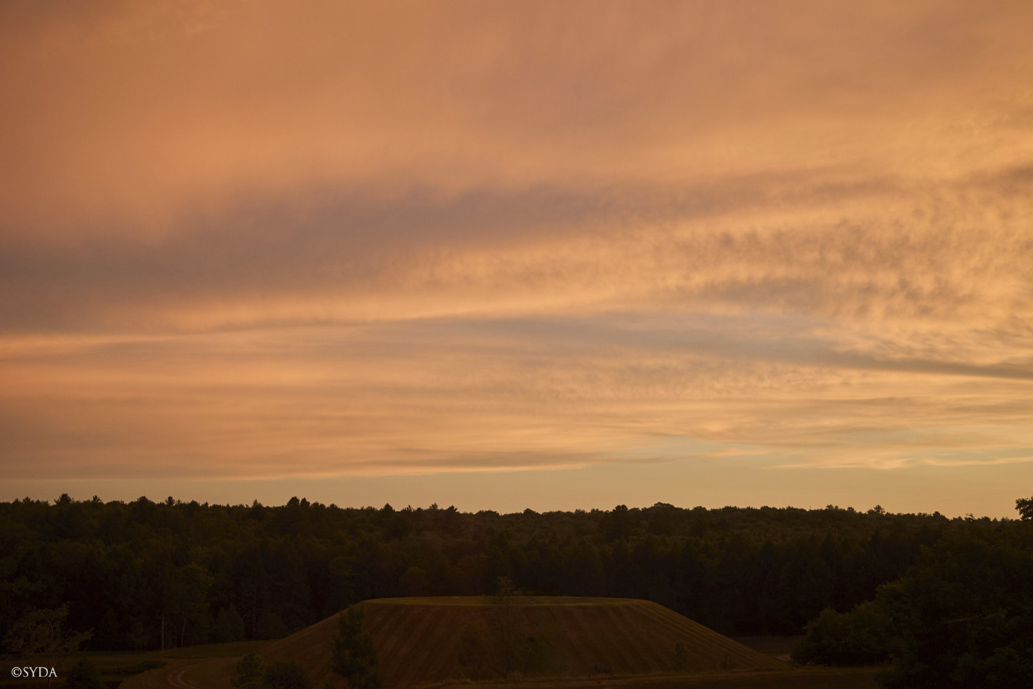 Nature Image