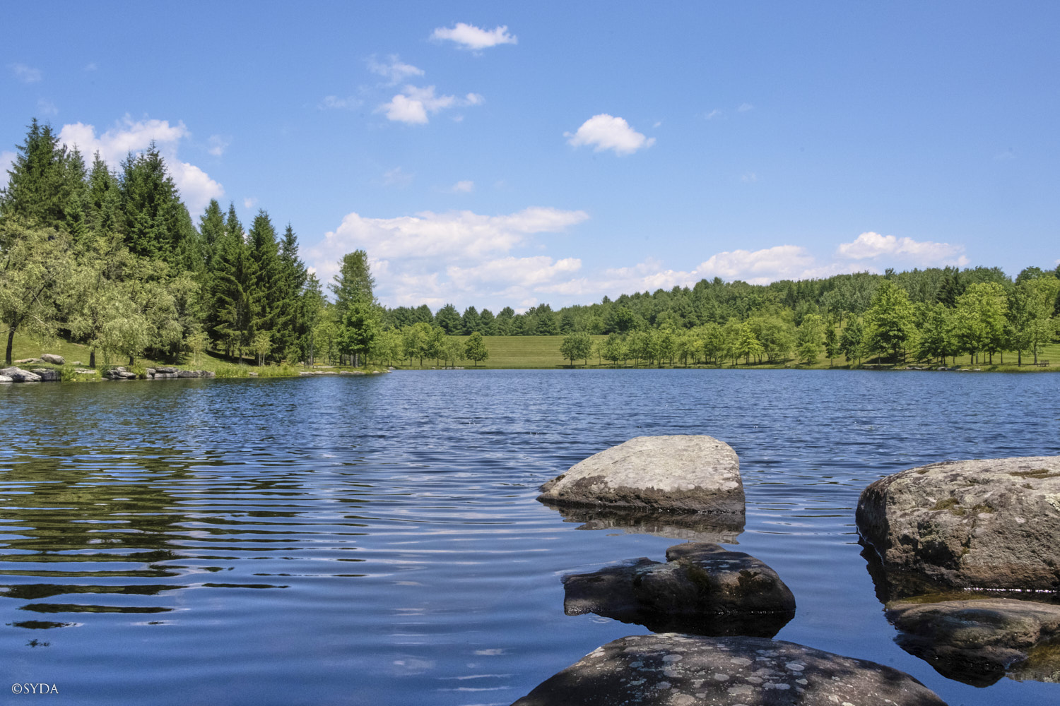 Nature Image